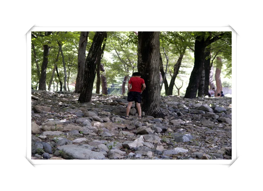 제2남전회 부부동반 야외 기도회(08.08.14-15) 사진 11