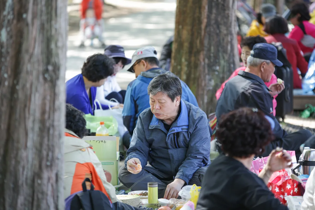 야유회 사진 145