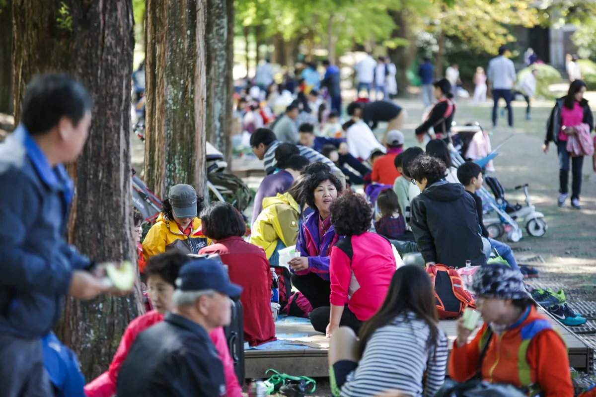 야유회 사진 149