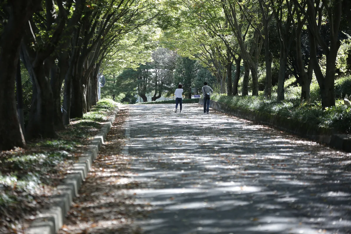 야유회 사진 180