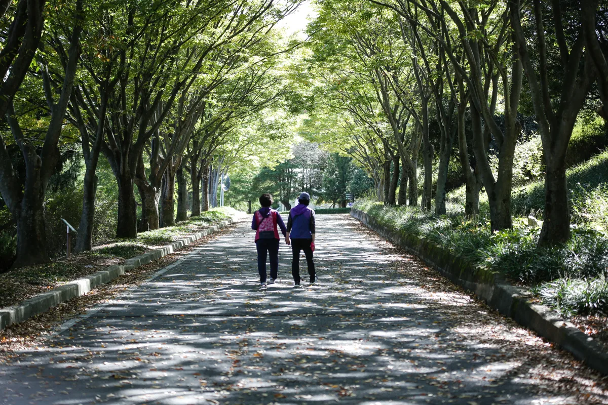 야유회 사진 183